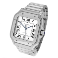 Automatic/Mechanical Watch (CARSDCCH)