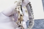 Automatic/Mechanical Watch (RDDREDDIAL)