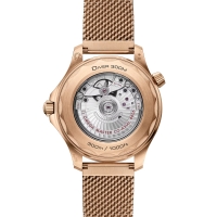 Replica Omega Seamaster Diver 300m (300217CH)