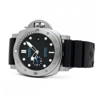 Automatic/Mechanical Watch (PANSUBBL)