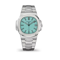 Automatic/Mechanical Watch (PPTIBLDCH)