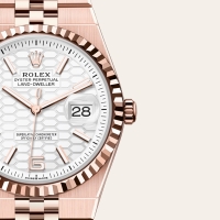 Replica Rolex Oyster Land-Dweller (100605CH) 
